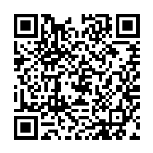 脸上露出了欢快的笑容因为他现在正坐在一头虎鲸的脑门上二维码生成