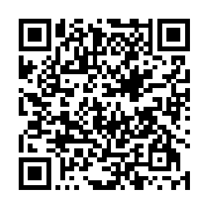 脸似乎已经撞进粪水中的巴克只感觉所有视线余光亮了二维码生成