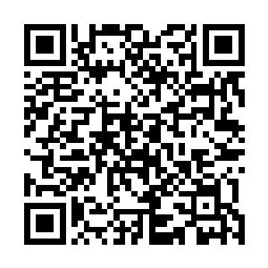脸是传来的温热感让我一直紧绷的神经一下子就松了下去二维码生成