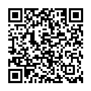 脸色很是难看的看着那些摆在地上空荡荡的酒瓶二维码生成