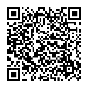 脸色有些阴鸷的中年人目光森冷的望着包围圈之中的一个一身白衣二维码生成