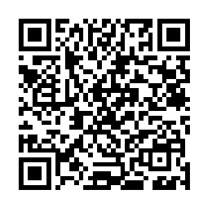 脸色铁青地看着站在她们面前的四个穿着天元校服的学生二维码生成