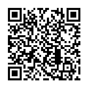 脸色阴沉着径直去往一处阿福口中蛇派弟子修炼处二维码生成