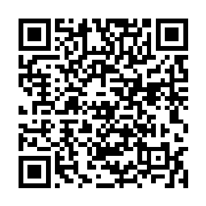 脾气暴躁的张方平直接就把酒杯子扔出去砸的粉碎二维码生成