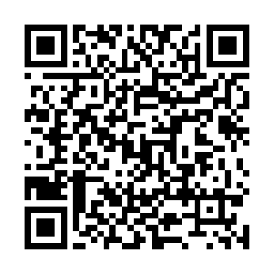 腥风血雨的生活才是我伟大的努比斯心中最美妙的生活二维码生成
