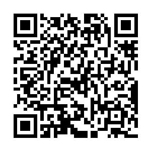 腰挂双锤的粗鲁大汉也忍不住多看了一眼胖乎乎的黑炭二维码生成