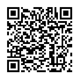 腾风确实是他所有子嗣甚至是西陵皇族中最优秀的孩子了二维码生成