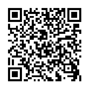 腿伤好了的王毅兴悄悄离开已经撤了守军的相府二维码生成