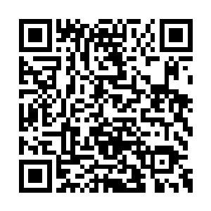 臣妾唯除就放心不下老十九……二十好几的人了二维码生成