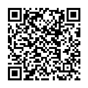 臣建议直接升任副总参谋长莫霍罗夫暂代军团司令二维码生成