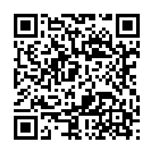 臣弟手下的参谋将军边高扬可是十年三夺冠的猛将二维码生成