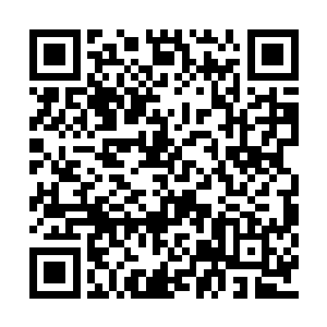 臧明国三国的年轻雄豪和人杰也关注起碧晶荒原二维码生成