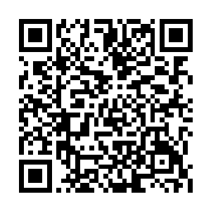 臧霸引兵来到了土埂城外十数里的一处平地之上二维码生成