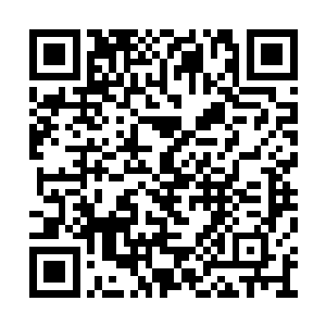 自从三公主这次大病初愈性子比以往温和了许多二维码生成