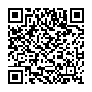 自从上一批樱花杀手被赵长枪消灭的一干二净后二维码生成