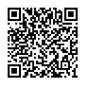 自从上一次布拉德目睹了陷入疯狂之后的特蕾西二维码生成