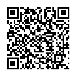 自从上个剧情中她一口气拉了三个新手玩家进入主神空间二维码生成