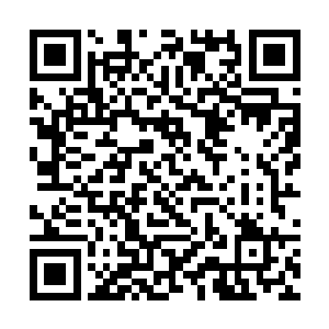 自从上了几节课之后他们因为年龄相仿就比较谈的来二维码生成
