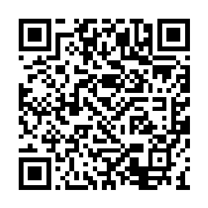 自从上次被丁长生阴了之后他就把丁长生查透了二维码生成