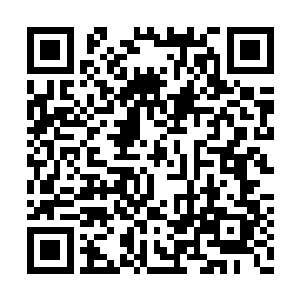 自从上次边学道告诉韩立川再看见卢玉婷去尚动二维码生成
