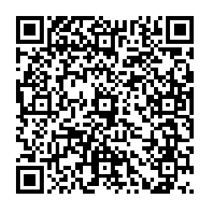 自从上次龙战他们弄回来那么多灰了唧的果子都被凌菲鉴定说可以给当个零食吃什么的二维码生成