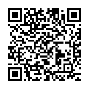 自从五年那一场恐怖的屠戮和三皇与佩城无数生灵一起沉没之后二维码生成