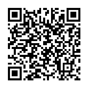 自从仇仲谋接到那个告知他厉倾城隐藏地点的无名电话后二维码生成