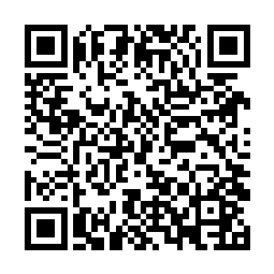 自从他上次发现剑尘和佣兵之城的结界之灵有关系时二维码生成