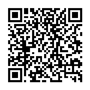自从他们修炼了许紫烟送给他们的在河伯仙府得到的木系功法二维码生成