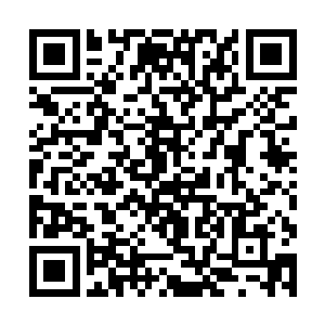 自从他进入原战魂海和他一起接受了古神记忆传承后二维码生成