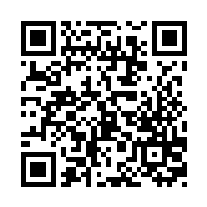 自从南宫流云连续破了天才训练营考核二维码生成