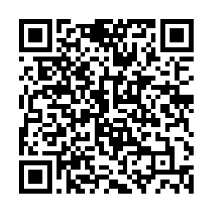 自从容云大师说出每颗火源石都沾染了他的灵识之后二维码生成