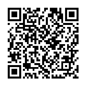 自从我们岳家上次在你们太玄宗被许紫烟扫了脸面之后二维码生成