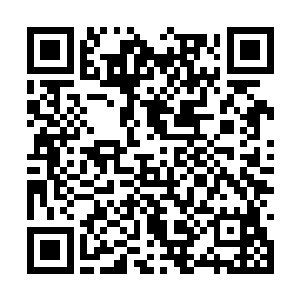 自从我们的祖先在星海深处遭遇的第一头虚空猎手二维码生成