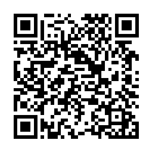 自从我家的看家蛇喜欢蹲在门外的树上我就知道你来了二维码生成