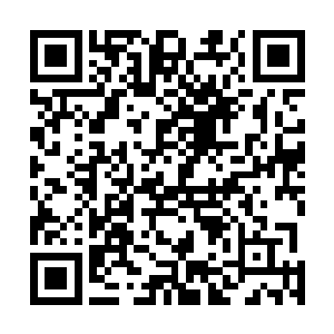 自从来到这以后被逼的已经在奔向吃货的路上越走越远了二维码生成