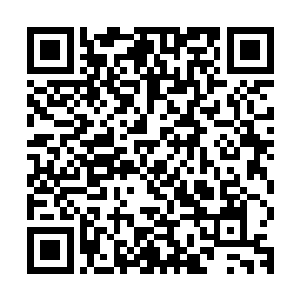 自从知道圣人要在今天就河东事引发的朝局变动下正式旨意之后二维码生成