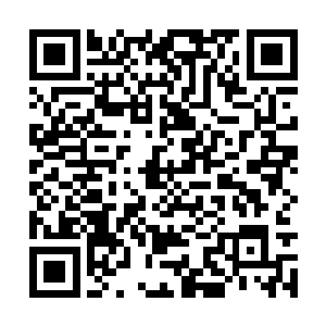 自从练习过唱着忐忑洗内裤再按颜色分类入抽屉后二维码生成