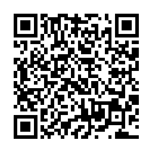 自从肚子里有了小家伙以后凌菲一直很注意自己的身体状况二维码生成