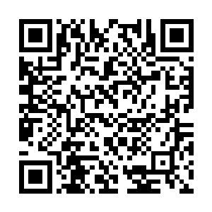 自从背着云二从山林里走出来开始接触大宋人之后二维码生成