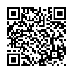 自从苏姑娘代表龙凤族阵营参加考核后二维码生成