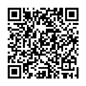自从藤野原子带领的三十几名杀手在刺杀赵长枪的过程中二维码生成