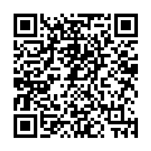 自从见识过了萧易一次又一次的展现出来的神奇的医术之后二维码生成