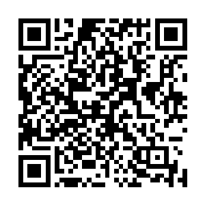 自从踏进沉雨阁就一直温和镇定的吴贵妃也禁不住有点动容二维码生成