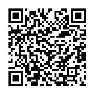 自从进入这所学校之后总共也就来这边两三次而已二维码生成