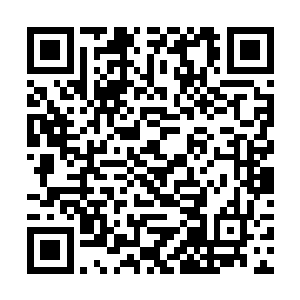 自从那次叶蕴意和肖遥在宴会上有些奇怪的对话之后二维码生成