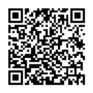 自从那次拜访里世界之后……他们两人一同排过不少剧本二维码生成