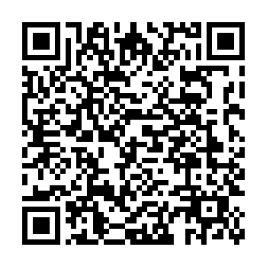 自从陈观刚到桐花镇那天中午在镇政府后院大喝一声为崔莹等人解围后二维码生成