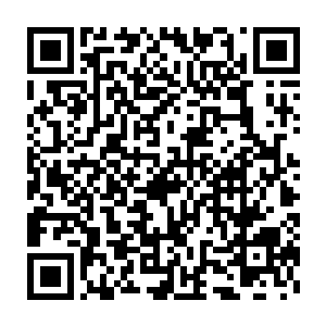 自从鬼脊开始融入我的身体之中开始我的恢复能力便是平常人的数倍二维码生成