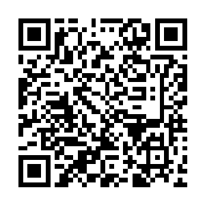 自从魏婷警校毕业被夹河市局长于大彪亲自送到芙蓉镇派出所二维码生成